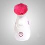 Picture of Sokany ZJ-608 Ionic Facial Ionic Steam Device